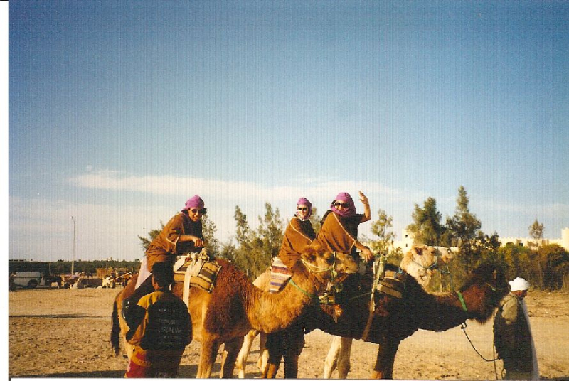 worldwide4-egypt-camelride